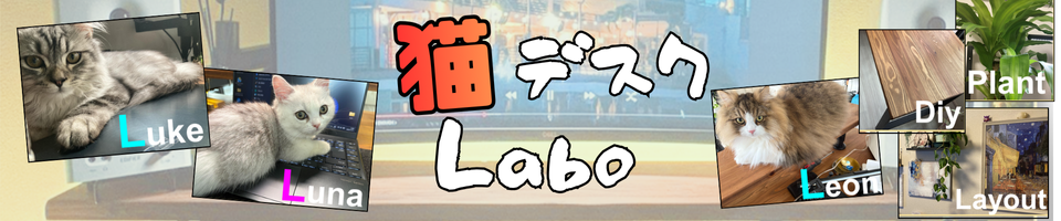 猫デスクLabo