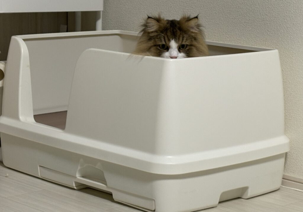 進撃スタイルのトイレ