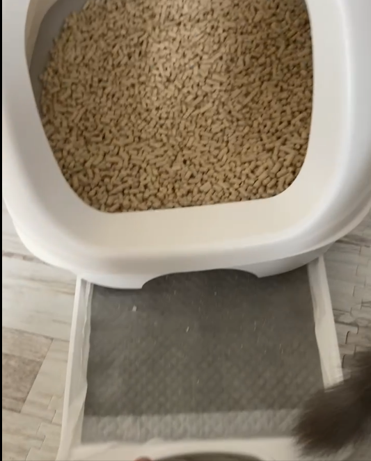 システムトイレの利点